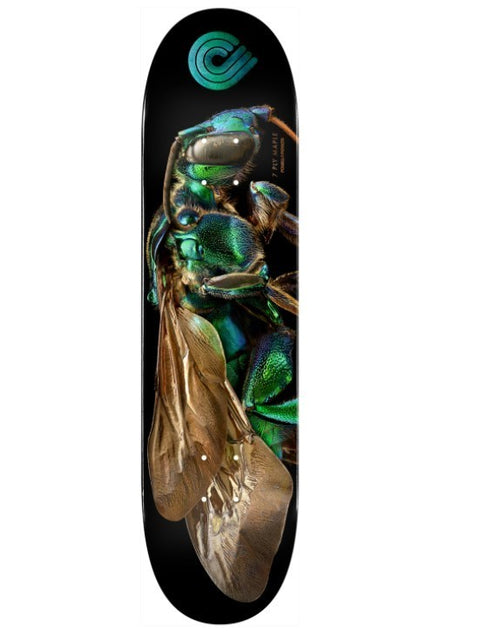 POWELL PERALTA BISS CUCKOO BEE DECK-8.0