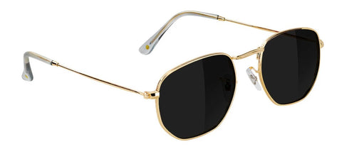 Glassy Turner Polarized Gold