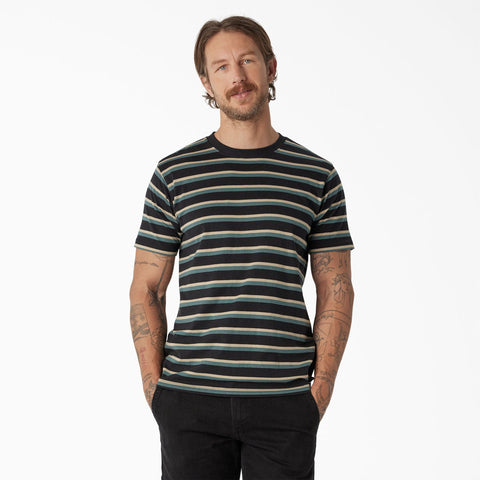 Dickies MENS SKATEBOARDING STRIPE S/S TEE (WS069)